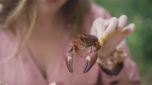 Do-It-Yourself Dining at the Edible Country Table in Sweden