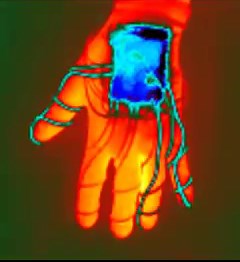 37K views · 200 reactions | Fibers are the basis of ropes and...