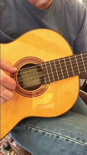 "Crown Him Lord of All" #hymn #chrisianmusic #fingerstyleguitar