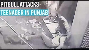 Did Roman Reigns link WWE's low viewership to John Cena?