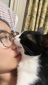 she got a good chomp on there #funnyvideos #catvideo #cat #chomp | idk just surprise meme