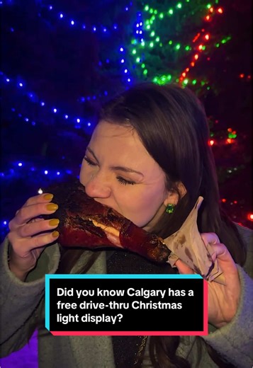 Explore Calgary's Free Drive-Thru Christmas Light Display