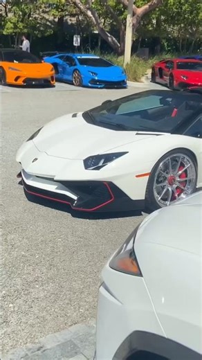 lambo SV black& white,,, #lamborghini #lambo #sv #bestluxury #mindset #luxurycars #money #richlife