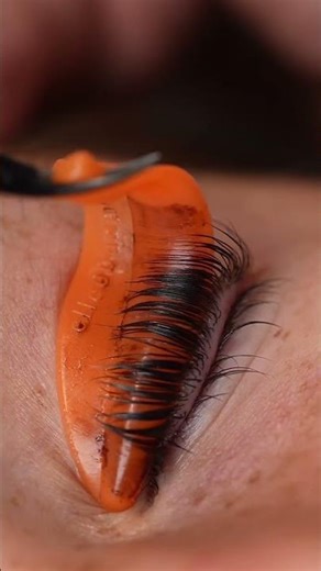 How high up the lash should I use Elleebana One Shot?