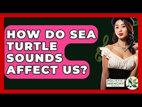 How Do Sea Turtle Sounds Affect Us? - Holistic Harmony Music