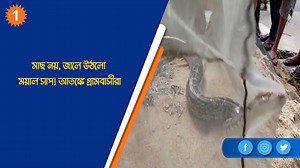 মাছ নয়, জালে উঠলো ময়াল সাপ! আতঙ্কে গ্রামবাসীরা| Oneindia Bengali