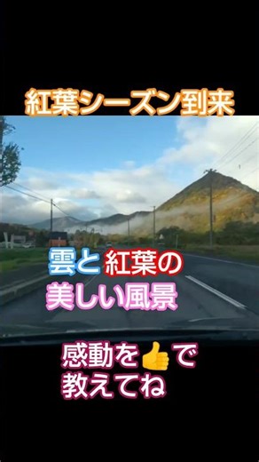 【ドライブ】紅葉観る為に朝活 #紅葉 #北海道 #ドライブ #short