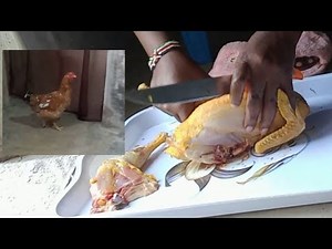 How to slaughter chicken 🐔 the African way part 1