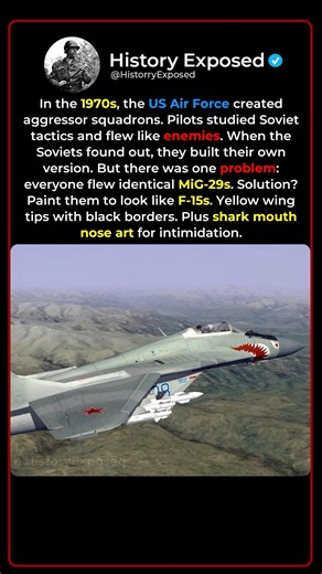 When Russian Jets Got Painted to Look Like Us Fighters 🎨✈️
