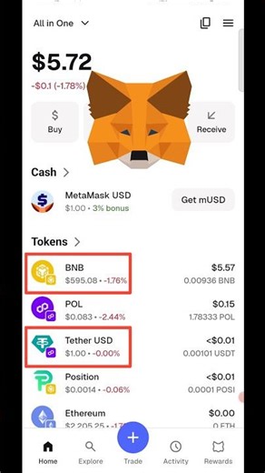 BNB & USDT Import in Metamask? Metamask me bnb network add kaise kare
