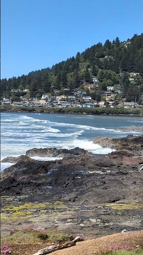 Where the forest meets the rocky waves 🌊 | Yachats, Oregon