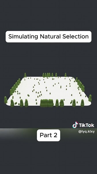 Lincoln Clanton on TikTok