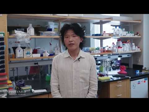 Research at Risk: PhD Training