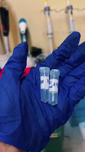 Isolating DNA step by step 🧬 Science you can see