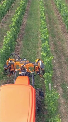Les effeuilleuses SOFT TOUCH 2 assurent un travail précis et respectueux de la vigne.