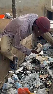 The matrix is a system part 10 😂 | Paolo Barranca