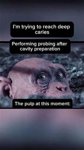 @Dentlot – Best Dental Implant Components🦷