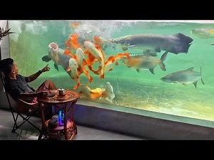 This Giant Monster Fish Tank Feels Like an Ocean Café