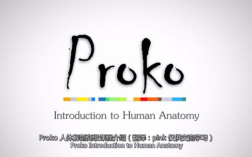 【Proko】人体结构课程介绍（字幕）Introduction to Human Anatomy - Premium HD
