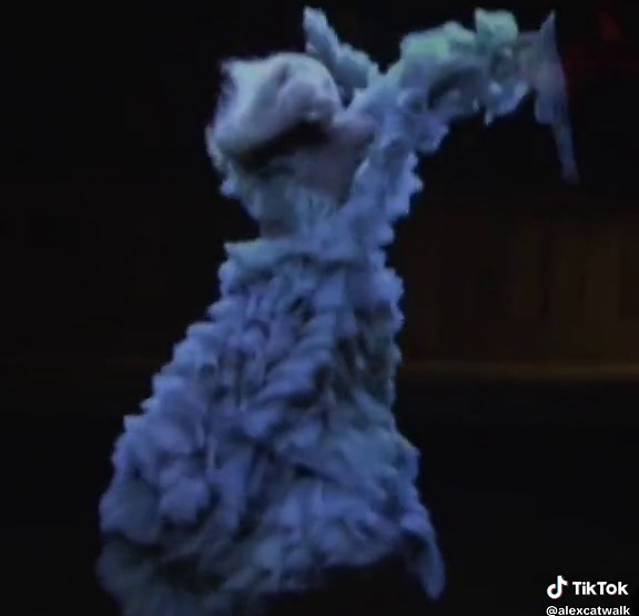 Kate Moss Alexander McQueen Runway Show