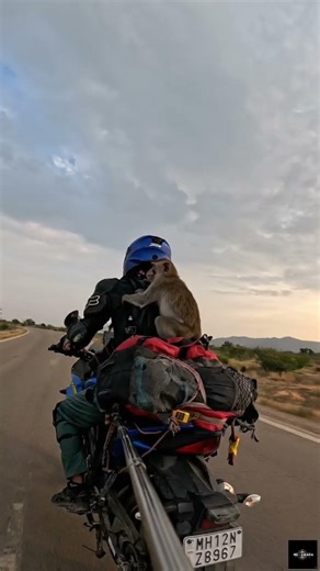 जब खुद द्वारकाधीश आपको बुलाए, #music #song #automobile #india #love #travel #love #motivation