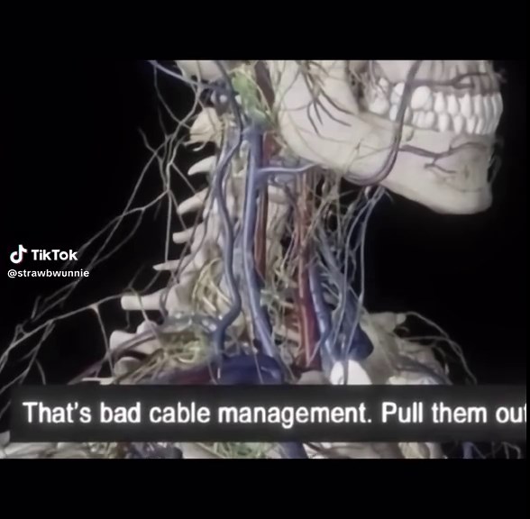Exploring Divine Machinery and Aesthetics