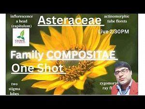 Compositae Family (Asteraceae) in One Shot | Sunflower Family | Floral Formula, Diagram & Examples