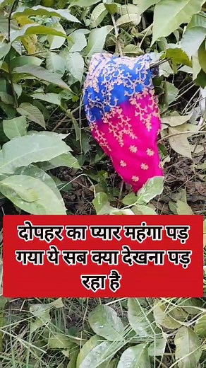 911K views · 8.3K reactions | दोपहर का प्यार पकड़ा गया यह सब क्या देखना पड़ रहा है यार । | Message Path | Facebook