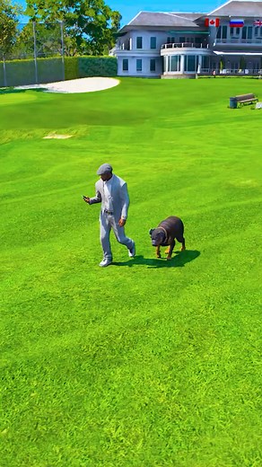 72K views · 411 reactions | GTA V DOGS TEACH US | Gangster Gaming | Facebook