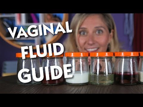 Vaginal Fluid Handbook
