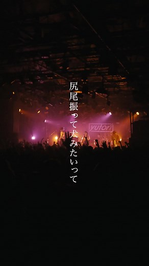 ヒメイドディストーションの歌詞と意味