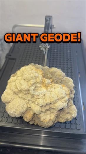 329K views · 8.4K reactions | Beauty in the inside! #geode #gem #geology #rockhound | Kaines Crystals | Facebook