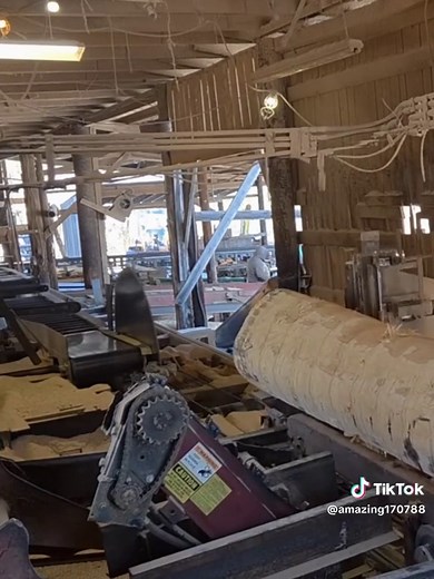 Amazing Excavators and Their Use