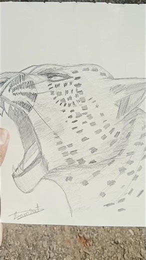 leopard #sketch #drawing