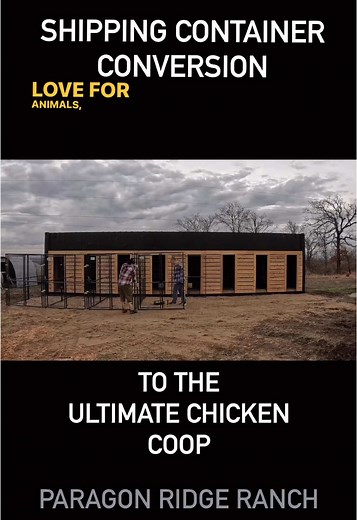 Ultimate Chicken Coop Build: Transforming a Shipping Container