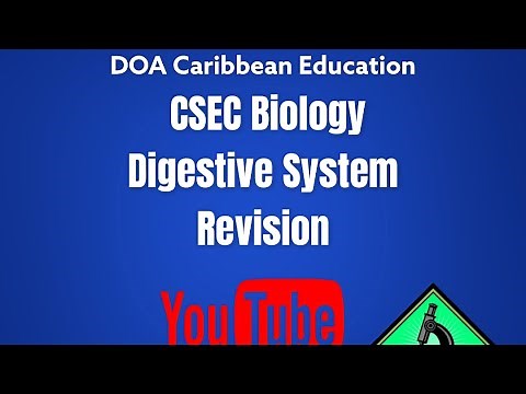 The Digestive System Revision Tutorial ( Ultimate CSEC Biology Crash Course)