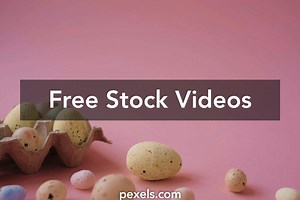 Godzilla Themed Videos, Download The BEST Free 4k Stock Video Footage & Godzilla Themed HD Video Clips