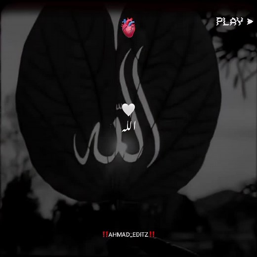 Islamic video — Dear TikTok, don't underreview my content