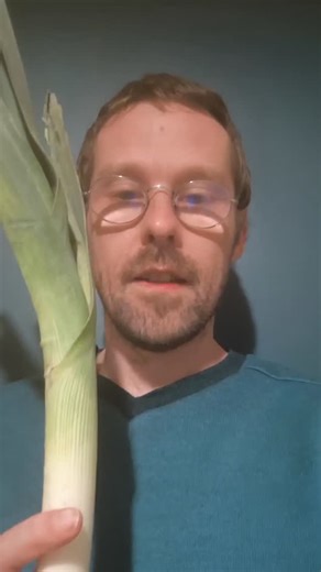 🌿 Le poireau, une médecine pour le foie, les reins et le mental ! Idéal en cure d'intersaison de poireaux. Article complet ici 👇 https://www.herissejeromenaturopathe.com/post/fiche-jus-de-poireaux En médecine naturelle, le poireau est reconnu pour ses vertus purifiantes, diurétiques et respiratoires. Cultivé depuis plus de 4000 ans, il était déjà consommé par les Égyptiens, Grecs et Romains pour ses bienfaits médicinaux. Grâce à ses composés soufrés, c’est un véritable tonique de l’organisme !