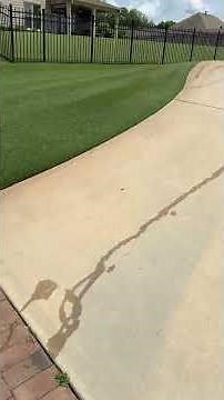 Zeon Zoysia Lawn Leveling, Watering, and Verticutting… OH My! ⛳️ #golfcourselawn