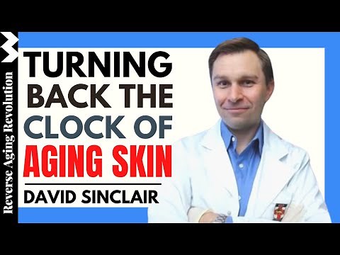 DAVID SINCLAIR “Turning Back the Clock Of Aging Skin” | Dr David Sinclair Interview Clips