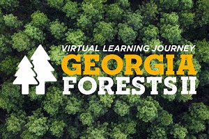 GPB And Georgia Forestry Foundation Launch Georgia Forests Virtual Learning Journey II For High School Students