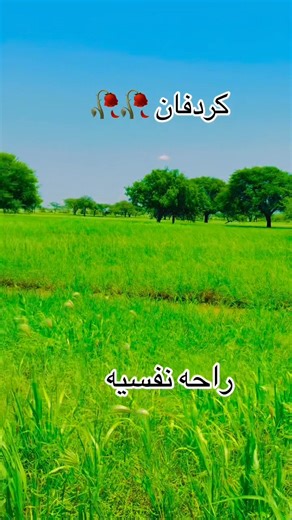 راحه نفسيه | التقي حسين