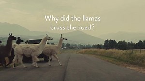 41K views | The first 100 customers in store Black Friday Weekend will have a chance to win a trip to Peru! Visit us at {{page.location.street_address}}, {{page.location.city}}. | World Market | Facebook