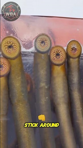 The Vampire Fish That Can Regrow Its Spine – Lamprey Explained!