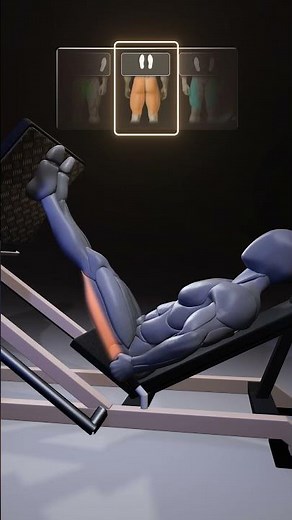 Leg Press Foot Placement Guide