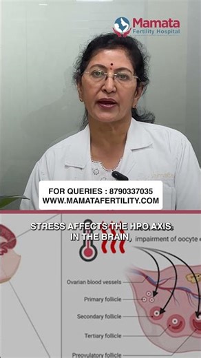 Can Stress Reduce Egg Quality & Pregnancy Chances | Mamata Fertility Hospital: Hyderabad