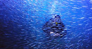 A combination of storytelling, adventure and weather. Our new show, "That's Amazing", co-created with Great Big Story, brings you that and more, premiering Sunday at 9:00pET. | The Weather Channel