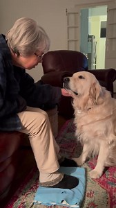 Dis Bubba want bedtime stories. 😍 Bubbacini, Granny Favorite | Along Came Polly, Rosie and Bubba