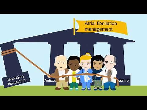 The four pillars of atrial fibrillation (AF) management